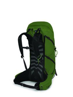 OSPREY Wanderrucksack TALON 36,  green belt/black