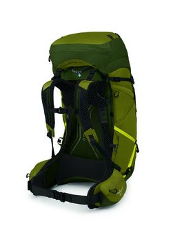 OSPREY Wanderrucksack ATMOS AG LT 65,  scenic valley/green peppercorn