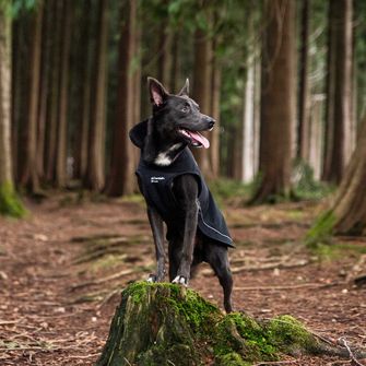 Mountain Paws Hundeumhang extra groß