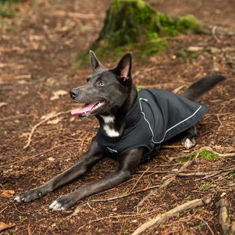 Mountain Paws Hundeumhang groß