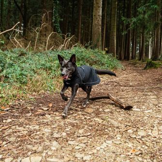 Mountain Paws Umhang für Hund medium